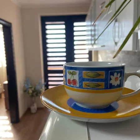 Gardenia Veliko Tarnovo